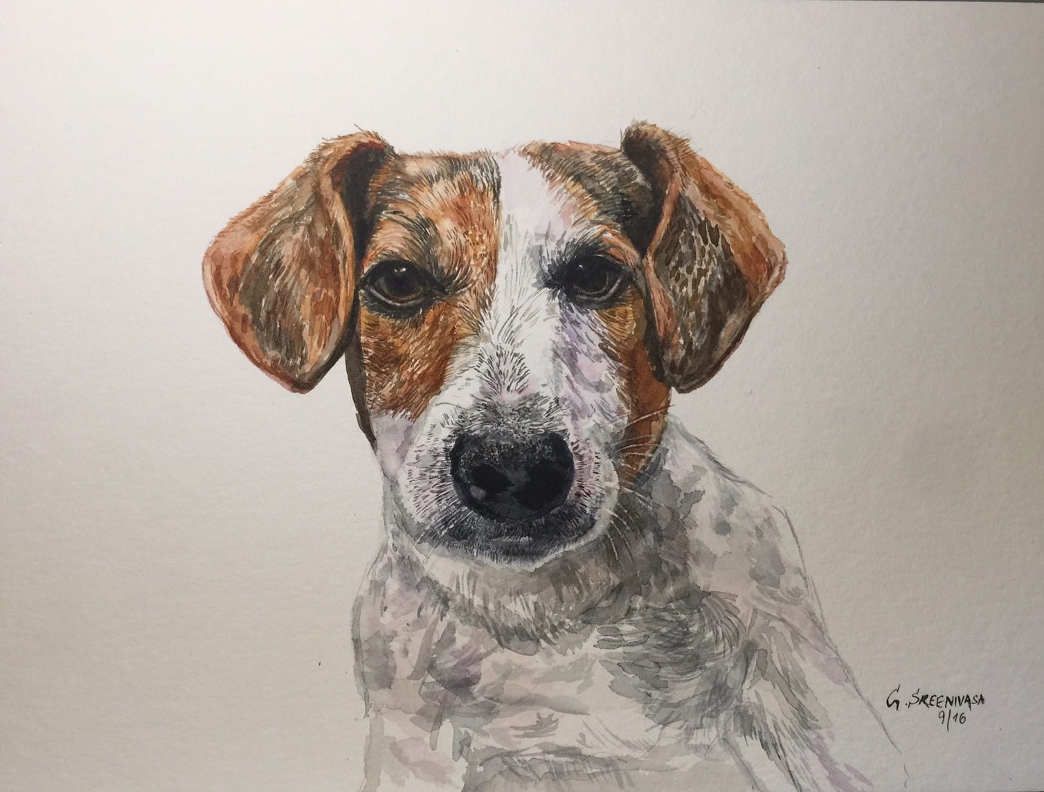 Henry - water colour